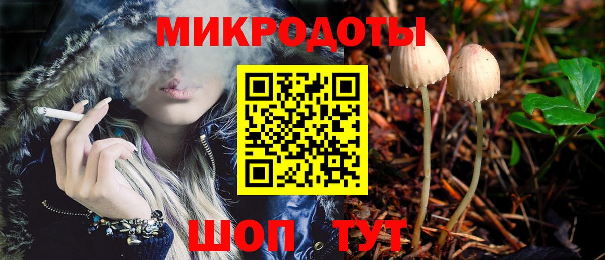 купить наркотик  Вход с VPN  Псилоцибиновые грибы GOLDEN TEACHER  Джанкой  Псилоцибиновые грибы мицелий 
