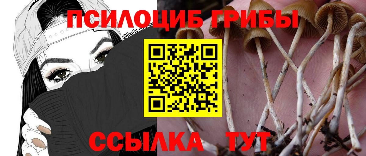 Галлюциногенные грибы Psilocybine cubensis Джанкой